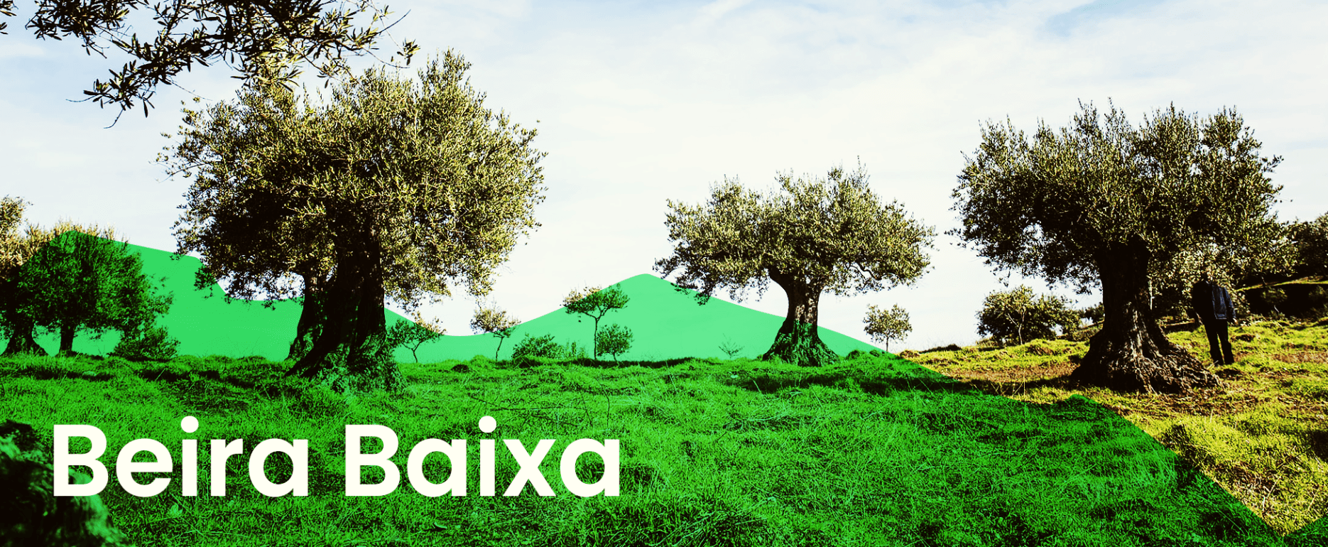 svg+xml;charset=utf-8,%3Csvg%20xmlns%3D Beira Baixa
