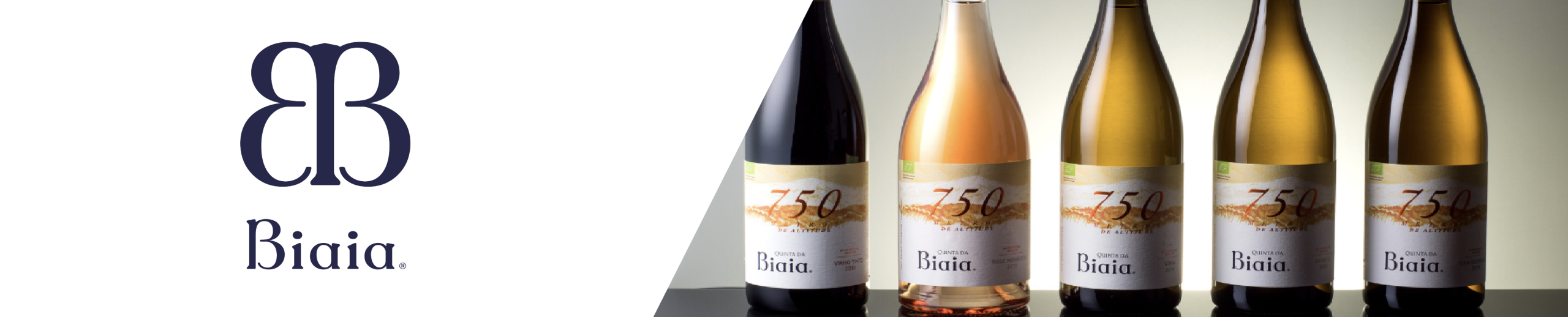 quinta_biaia_banner-scaled Quinta da Biaia